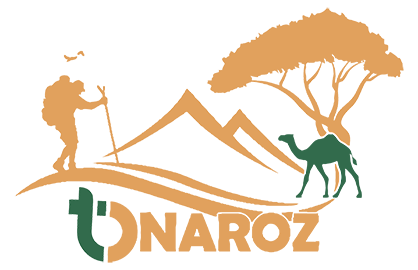 Tonaroz Logo